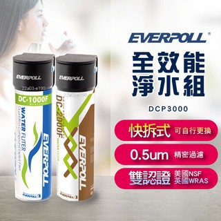 【含基本安裝】 EVERPOLL愛科濾淨 全效能淨水組 DCP-3000