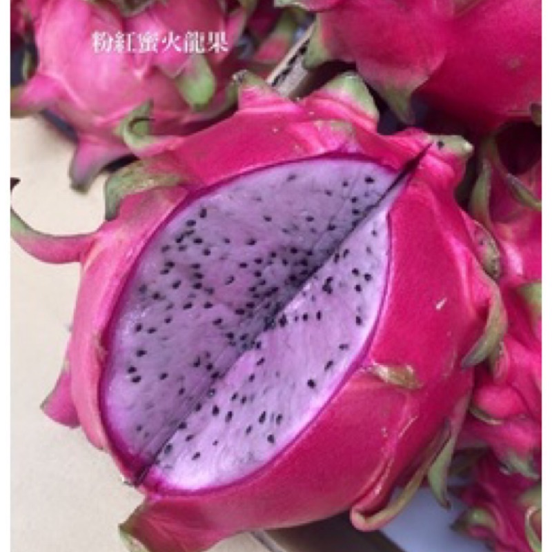 #零售 粉紅蜜/雙色火龍果💓自然栽培 超好評