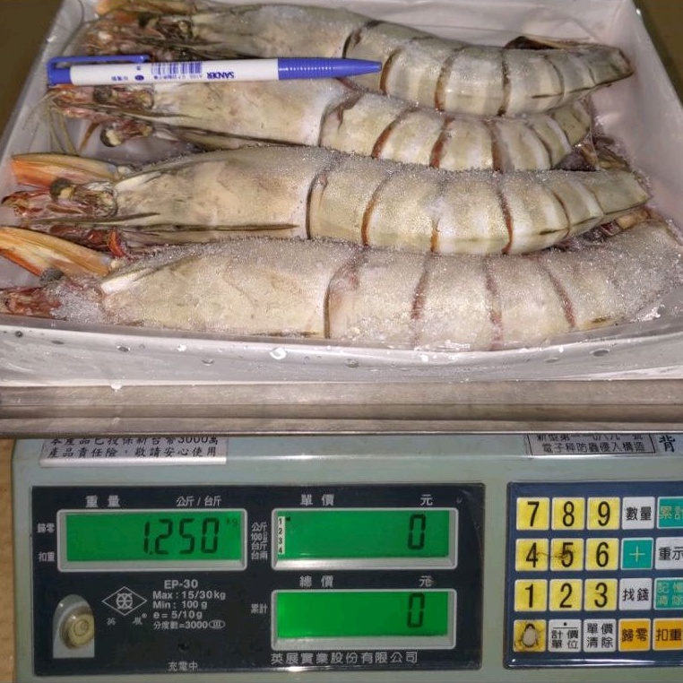 限量深海巨無霸4P超大虎蝦(肥豬蝦、手臂蝦)單隻淨重250克一盒四隻