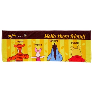 迪士尼 Disney 小熊維尼 Pooh 長巾 長毛巾(家族/背影/40X110CM) 越南製