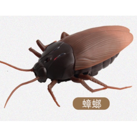 ღTammy泰咪ღ 台灣全新現貨 紅外線遙控蟑螂 遙控昆蟲 整人玩具 仿真昆蟲 昆蟲造型 遙控玩具 6歲以上
