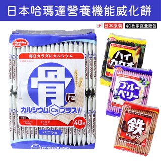 【無國界零食屋】日本 Hamada 哈瑪達 哈馬達 威化餅 大骨餅 巧克力 可可 鐵+ 營養餅乾 營養口糧 香草 牛乳