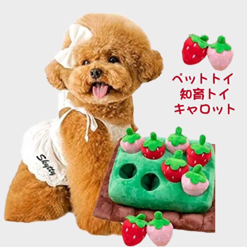 【你和我的狗】 日本 拔蘿蔔玩具 寵物玩具 【現貨】 嗅聞玩具 藏食玩具 訓練玩具 狗狗玩具 貓咪玩具 耐咬玩具