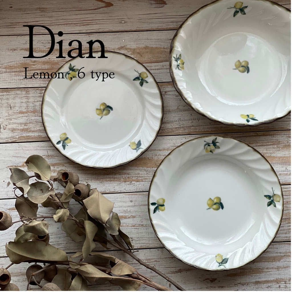 現貨 日本製 Dian 復古 檸檬 陶瓷餐具 水果盤 蛋糕盤 餐盤 湯碗 橢圓盤 優格碗 麵包盤 飯碗 碗盤 日本進口