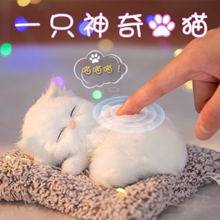 臺北出貨🌸 女孩子 生日禮物 送禮 12歲十歲78歲9歲5歲男童六一兒童節小朋友男孩10歲