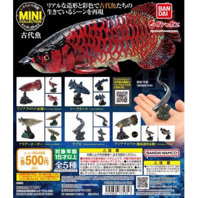 現貨 BANDAI 轉蛋 扭蛋 生物大圖鑑-古代魚篇 龍魚 活化石 古代生物 全5款  圖鑑篇 紅龍