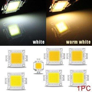 110v 220V LED晶片20W 30W 50W COB晶片無需驅動LED燈珠 ​用於泛光燈聚光燈 Lampada