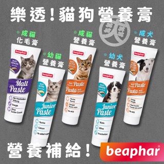 （近效出清超優惠！）樂透 營養膏 貓狗營養膏 貓化毛膏 幼貓 幼犬 化毛 貓營養膏 狗營養膏 營養 保健 beaphar