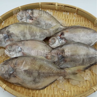 【海鮮7-11】 肉魚 100-120g 10隻裝 🚩肉魚，又稱肉鯽仔。🚩是台灣家庭的傳統美味**單包210元**