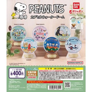🔥現貨 Snoopy 水晶球 史努比 糊塗塔克 查理布朗 扭蛋 環保扭蛋 擺飾