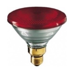 PHILIPS par38 ir red 175w 250W 紅外線溫熱燈泡 寵物保溫 中醫診所用 110V 220V