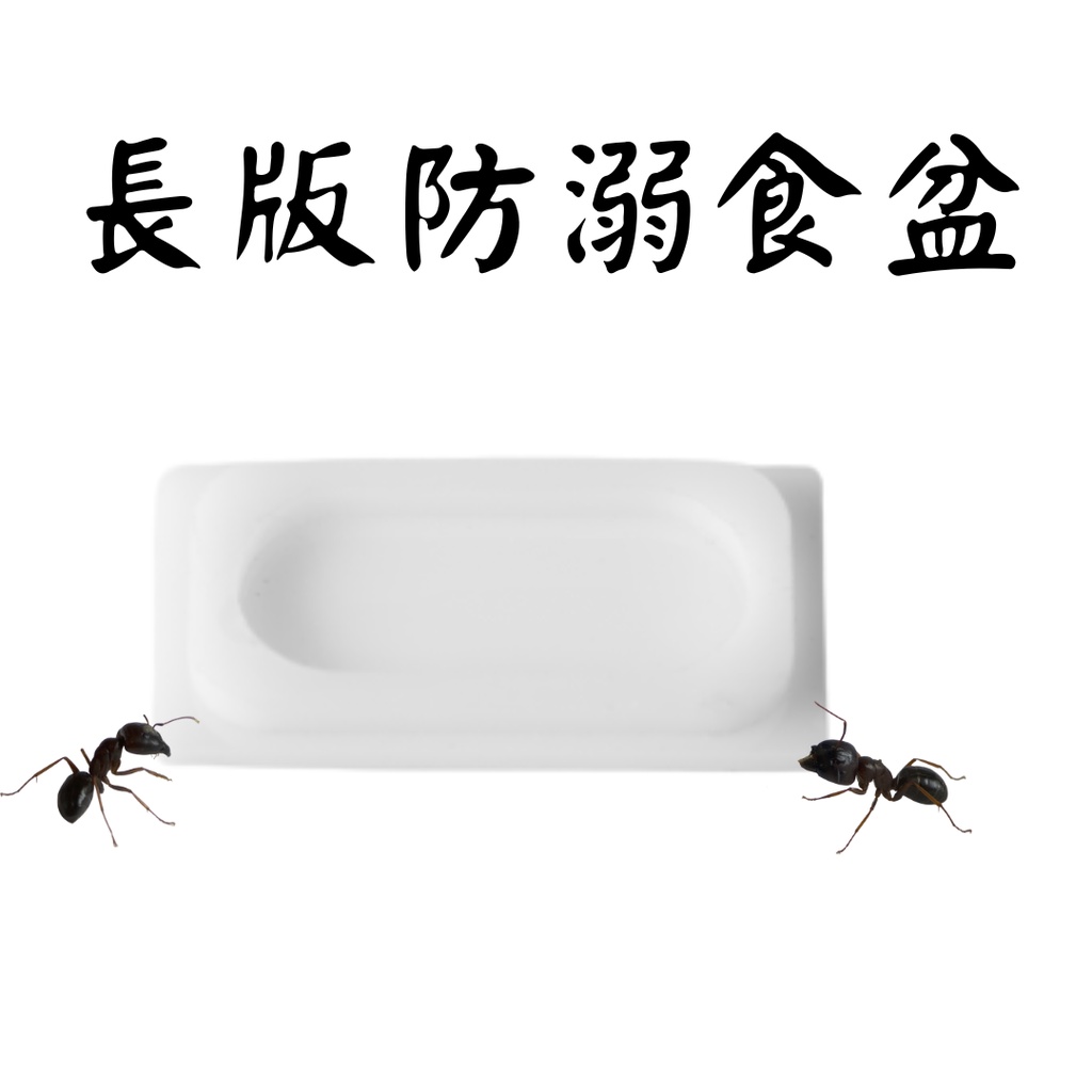 【螞蟻巢研究所】長版防溺食盆，塑膠製好清洗、好夾取 必備螞蟻飼養用品 /養螞蟻/螞蟻窩，30元塑膠食盆