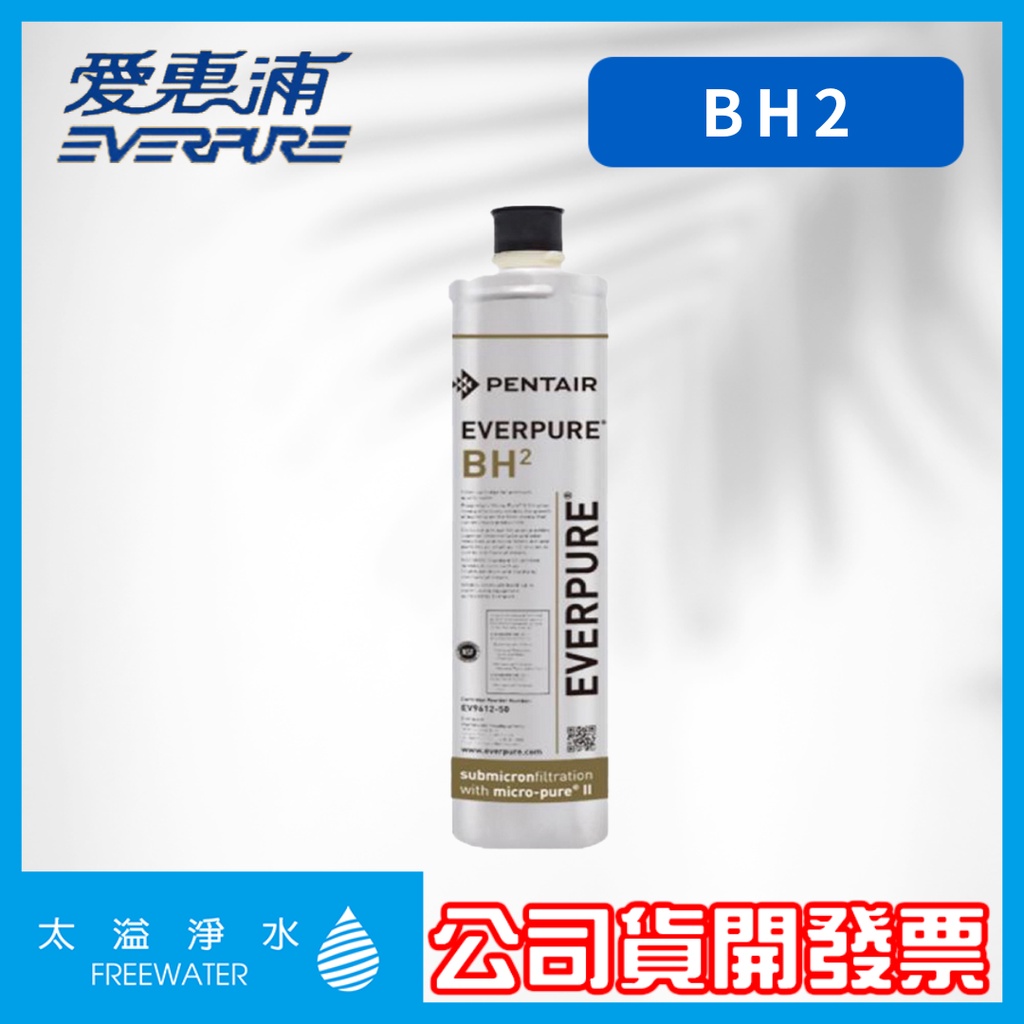 愛惠浦EVERPURE BH2 雙溫加熱系統 專用濾心 複磷酸鹽 抑制水垢 美國原廠 愛惠浦台灣總代理公司貨