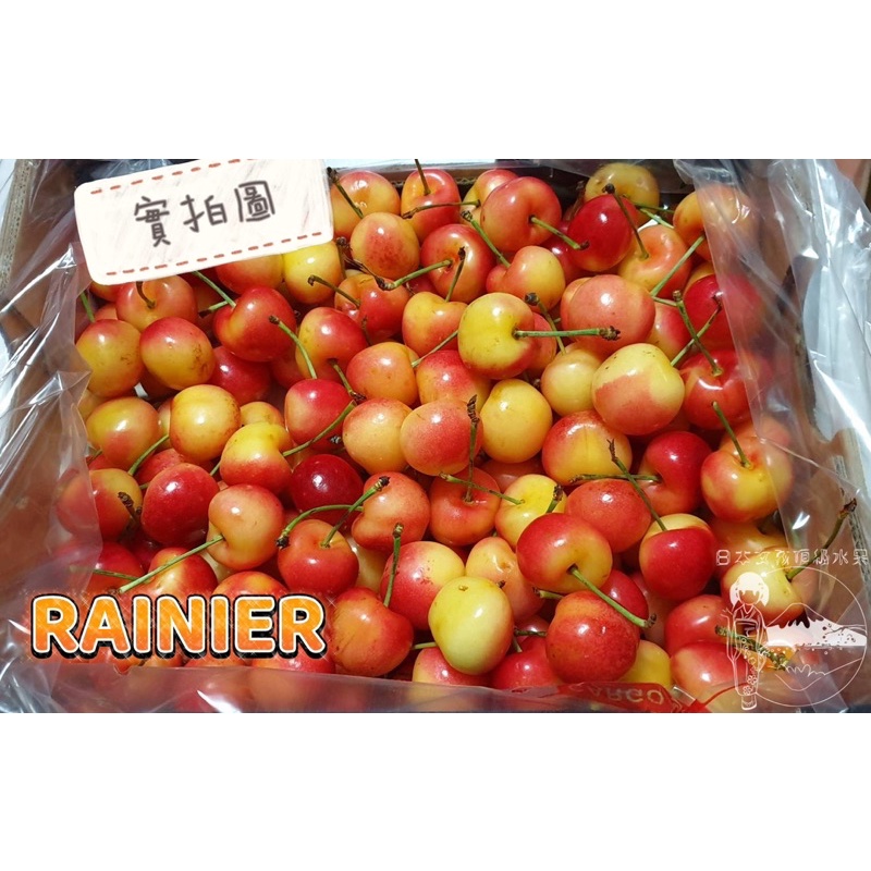 智利🇨🇱新鮮Rainier黃金白櫻桃🍒貿易商價格讓您物超所值～比價比不完！新鮮比較重要‼️