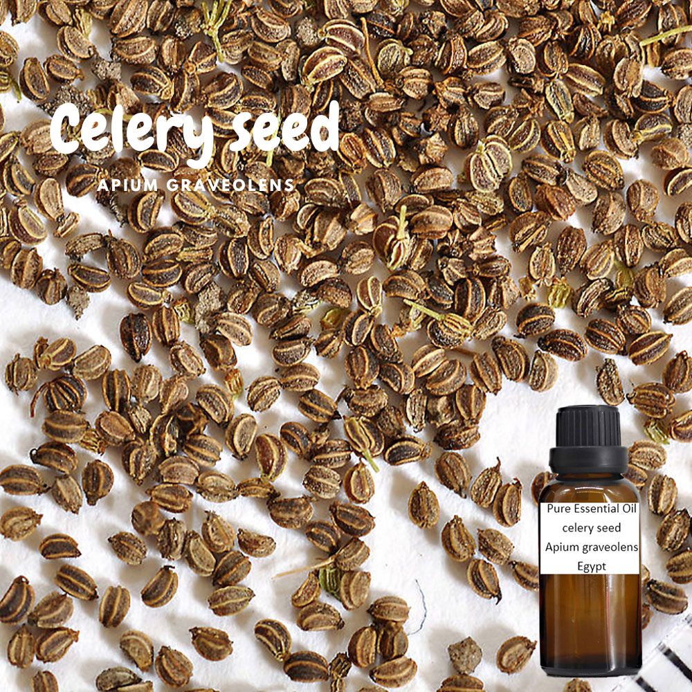 100% 芹菜籽 純精油 Celery Seed Pure Essential Oil