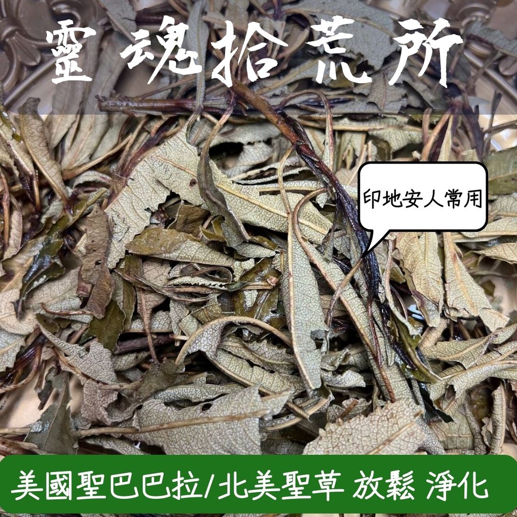 『出清』聖巴巴拉草 北美聖草 Yerba santa 神聖的藥草 熊兒草 驅邪淨化聖品『售完不補』