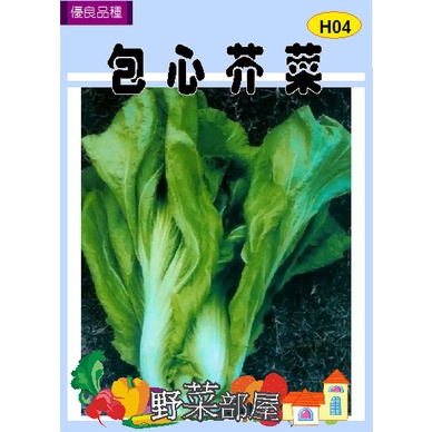 【萌田種子~中包裝】H04 包心芥菜種子100公克 , 長年菜 , 每包190元~