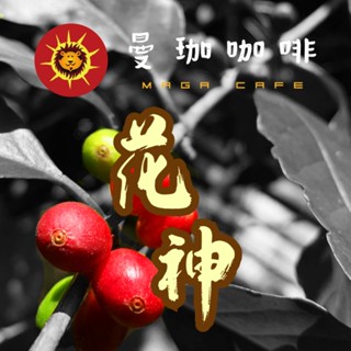 【曼珈咖啡】花神 安提瓜 貝拉卡摩娜莊園 生豆 1公斤/500g 咖啡 生豆