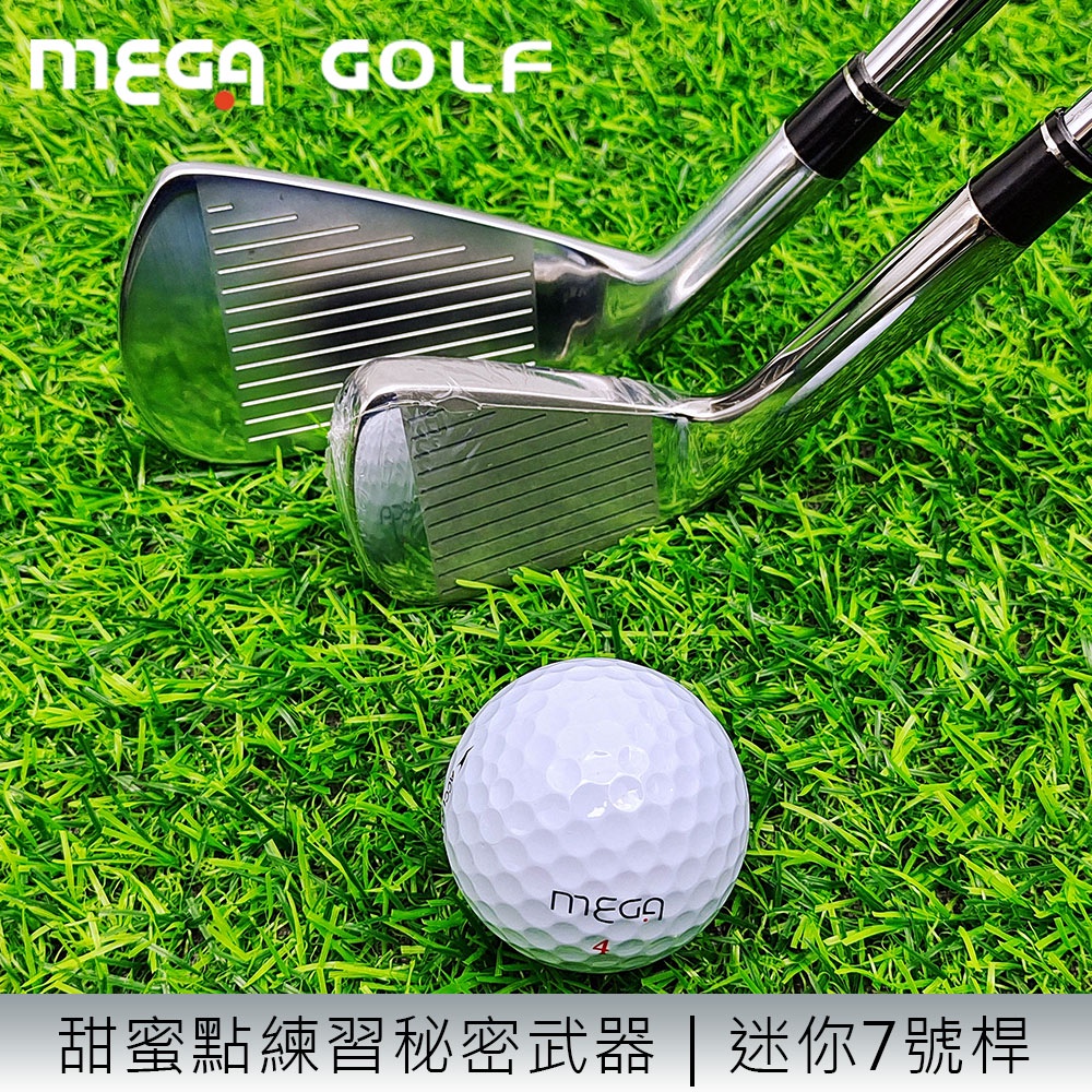 【MEGA GOLF】EQ TRAINER 挑戰者7號 練習桿 精準度練習 EQ007(高爾夫球桿 練習桿 練習鐵桿 7