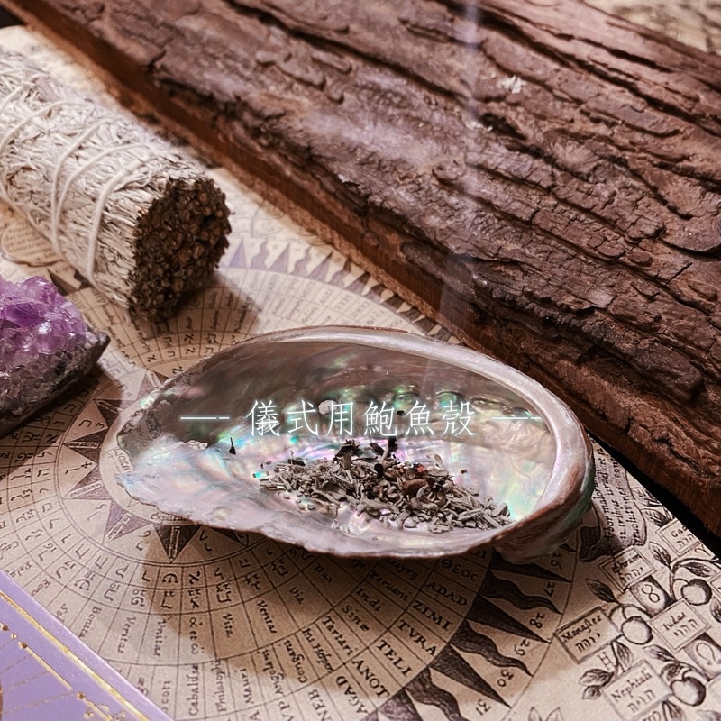 🔮✨現貨/魔法淨化器皿- 🐚 鮑魚殼｜儀式用、裝飾用｜代表水元素/碎貝殼