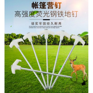 臺灣發貨- 戶外野營 夜光螢光 營釘 地釘 防風固定鋼釘 不鏽鋼螺紋釘 3-25cm 帳篷 沙灘 木板 甲板 草地