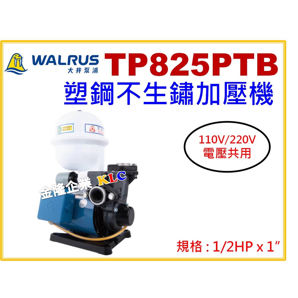 【天隆五金】(附發票) 大井泵浦 TP825PTB 1/2HP x 1 抽水馬達 加壓馬達 不生鏽加壓機 TP825PT