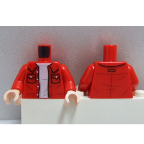 【積木2010】#159 樂高 LEGO 紅色 襯衫 口袋 身體 / 六人行 喬伊 人偶 上半身 21319