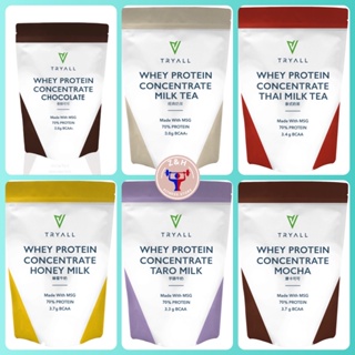 快速出貨 TRYALL 濃縮乳清蛋白 500g 袋裝 多種口味任您挑選 健身 代餐 高蛋白