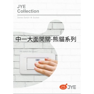 JYE 中一電工📌大面板開關插座 各式插座附蓋板(白)