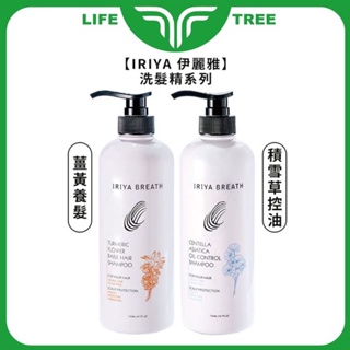 L.T☮️IRIYA 伊麗雅 薑黃養髮洗髮精 積雪草控油洗髮精 730ml 控油 養髮 頭皮 洗髮精 洗髮 公司貨