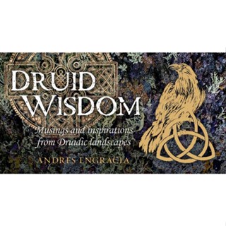 B187【佛化人生】現貨 正版 德魯伊智慧指引卡 Druid Wisdom 德魯伊智慧卡 贈送中文說明電子檔