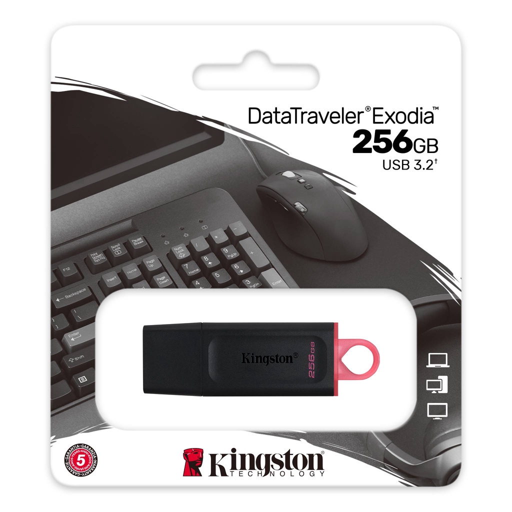 【Kingston 金士頓】 DataTraveler Exodia 256G USB3.2 繽紛 隨身碟 USB