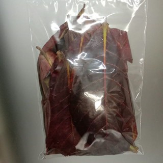 天然大葉欖仁葉 獨立包裝 黑水媒介 降低水質HP 加速發情 觀賞魚皆可使用