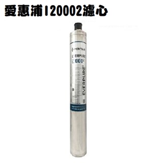【下單88折+領券回饋10%蝦幣】 EVERPURE愛惠浦【公司貨】製冰機專用 I20002 濾心【 9000加侖】
