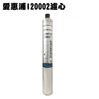 EVERPURE愛惠浦【公司貨】【下單領10%蝦幣回饋相當於打9折】製冰機專用 I20002 濾心【 9000加侖】