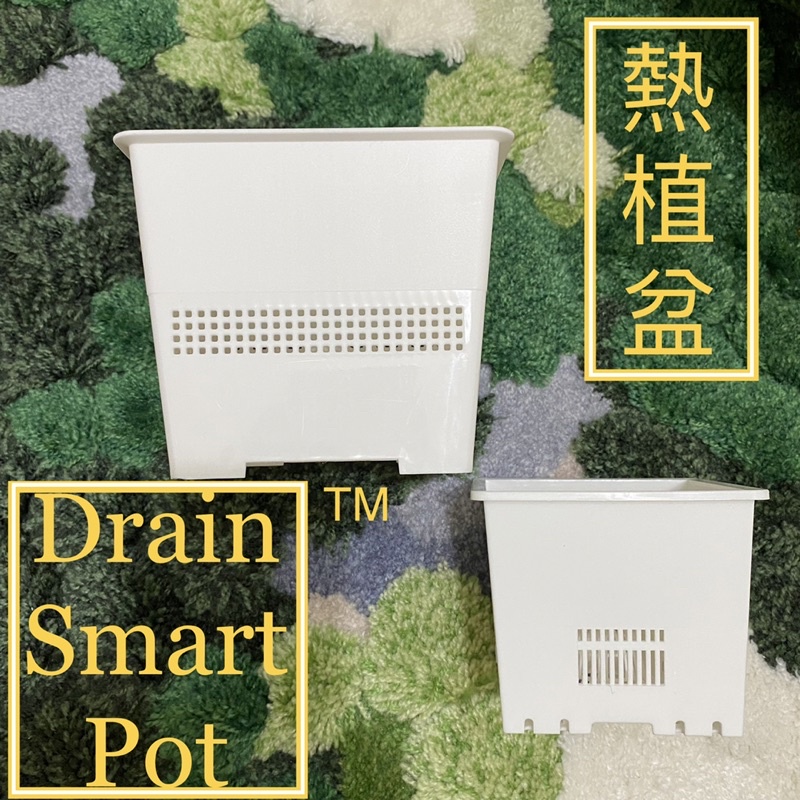 Drain Smart Pot 熱植盆 方盆 花盆 控根盆 透氣 多肉盆 塑膠盆