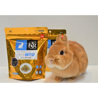 ♕愛兔草♕ HI-PET 極-鼠兔用牧草零食(乳酸菌)100g