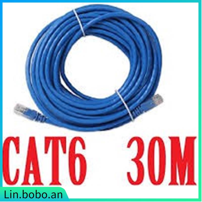30M CAT6 Ethernet UTP LAN Cable