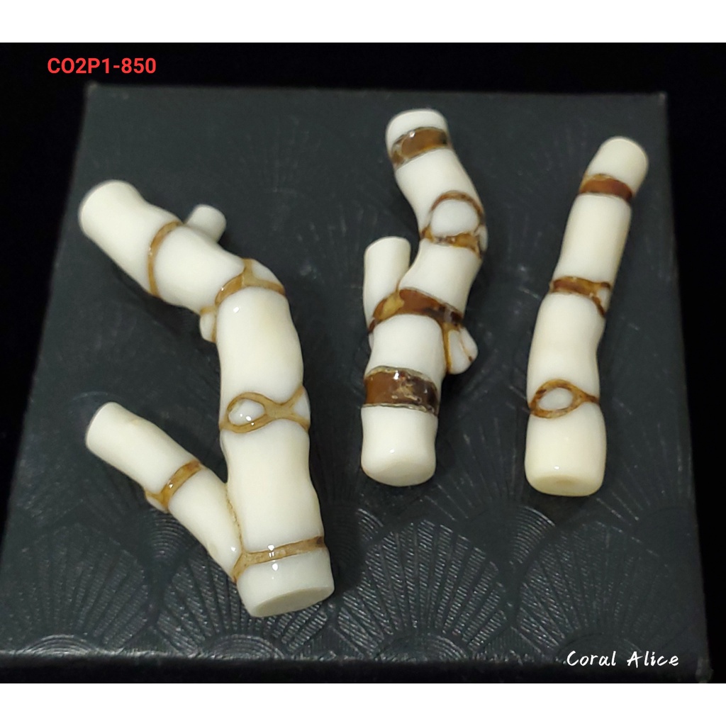 🌟Coral珊寶手作-天然海竹珊瑚自然枝(無孔) 31.6-54.8mm CO2P1-850
