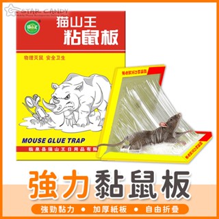 【橘子購物】強力黏鼠板 滅鼠 老鼠板 捕鼠器 捕老鼠 老鼠夾 老鼠籠 捕鼠器 滅鼠器 抓老鼠 老鼠貼 粘鼠板【A242】