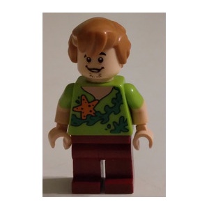 [樂磚庫] LEGO 75903 史酷比系列 人物 713185