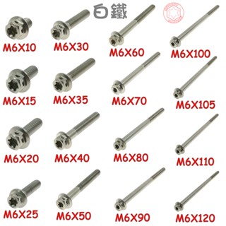 SOMOTO臺灣製造 M6不鏽鋼白鐵螺絲內星型(梅花)外六角10/15/20/25/30/35/40/45~120MM
