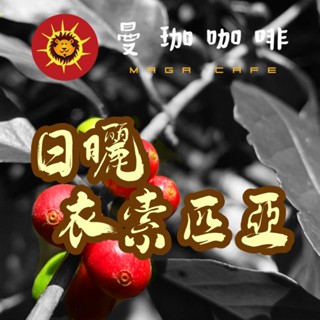 【曼珈咖啡】衣索比亞日曬G1 生豆 1公斤/500g 咖啡 生豆