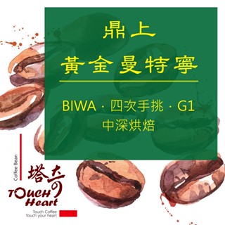 鼎上黃金曼特寧咖啡豆 自家烘焙 四次手挑 BIWA 濕撥處理 G1等級 核桃 可可 巧克力 草本 木質調 半磅袋 掛耳式