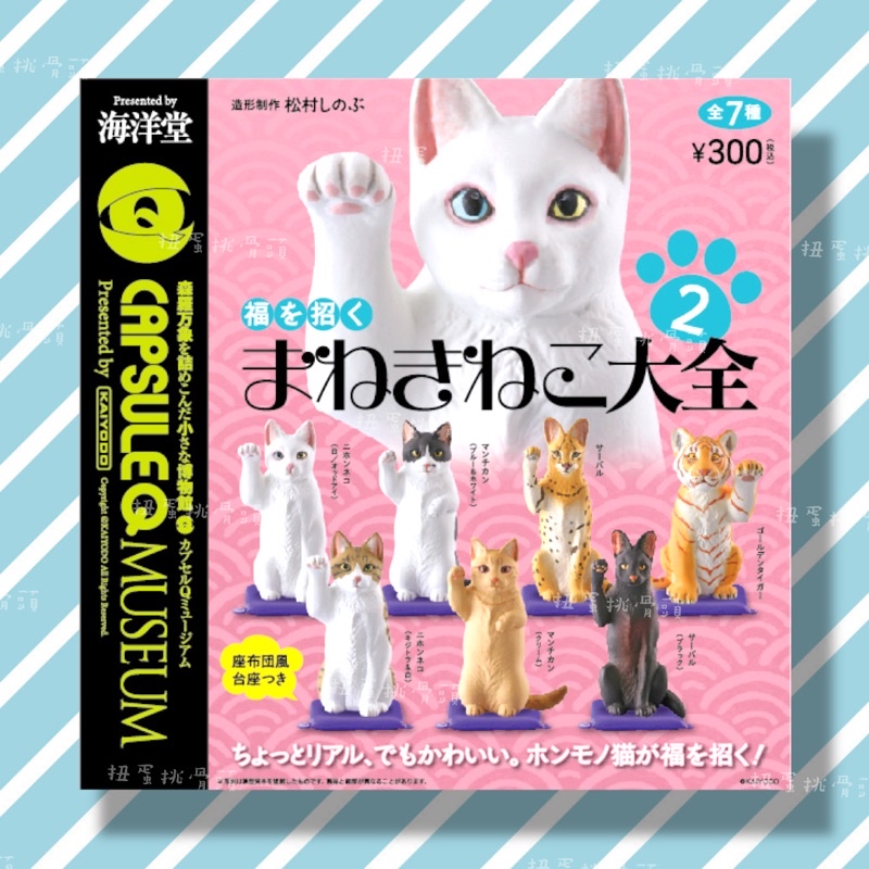 〖扭蛋挑骨頭〗絕版 “單售” 海洋堂 藪貓 虎斑貓 短腿貓 招財貓大全 2 招財貓 第二彈 數貓 豹貓 扭蛋