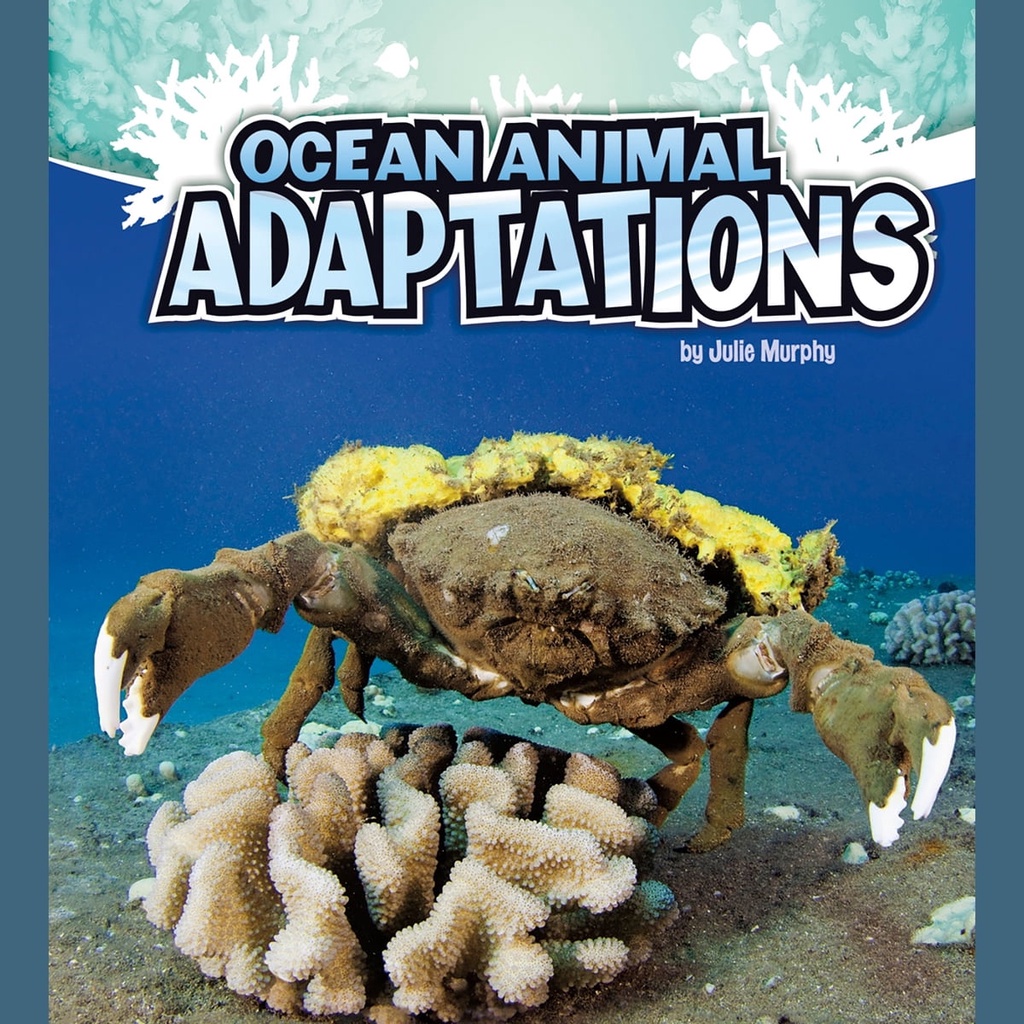 Ocean Animal Adaptations/Julie Murphy 文鶴書店 Crane Publishing