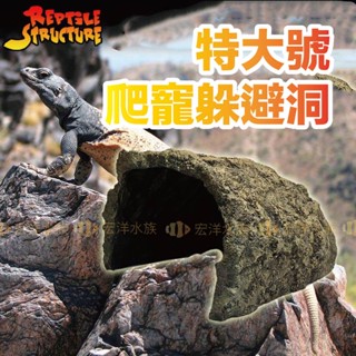 宏洋水族【特大號 爬寵 躲避洞】模擬岩石、還原自然✨躲藏洞 洞穴 守宮屋 躲藏 躲避屋 爬蟲 蜥蜴 蠍子 蛇 爬寵 守宮