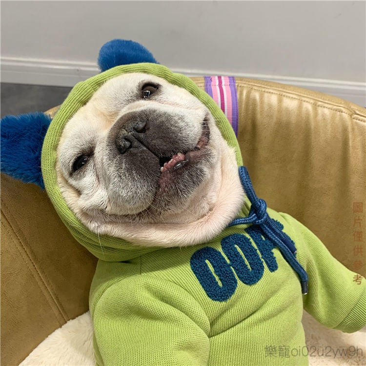 法鬥衣服 寵物衣服 巴哥衣服 小狗保暖衣服 寵物狗狗鞦鼕天可愛服飾法國鬥牛犬衣服法鬥連帽英鬥巴哥背熊泰迪加絨衛衣狗狗衣服