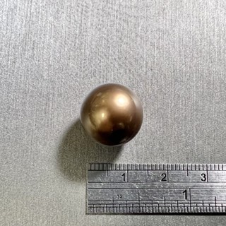 天然咖啡色海水珍珠/14.3mm/已打洞