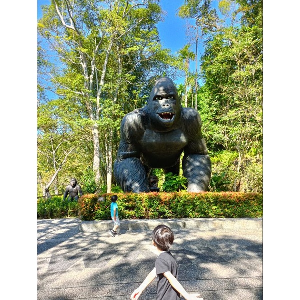 大板根森林遊樂區門票七張